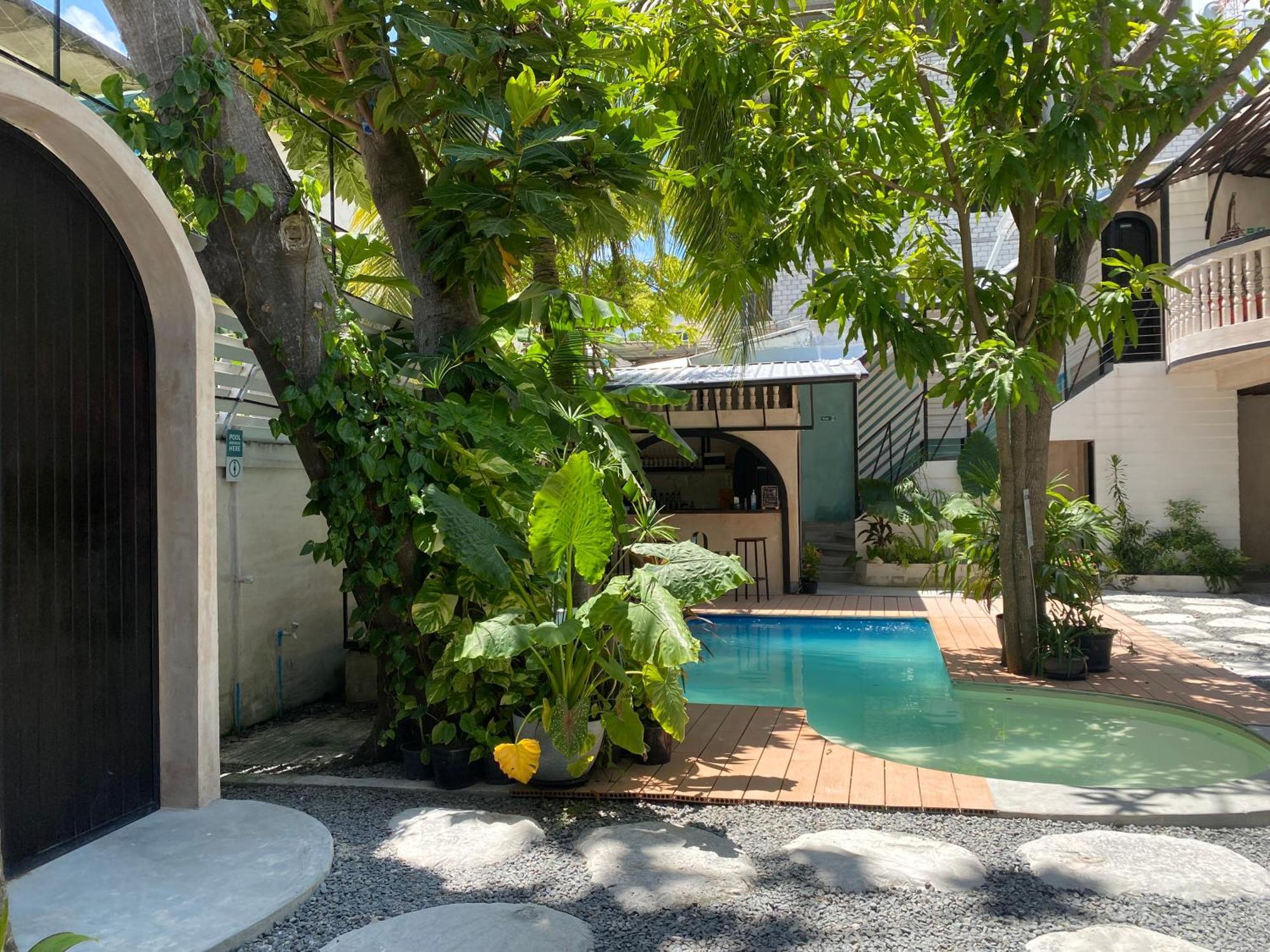 Zinnia Maafushi - Inclusive Airport Roundtrip - Snorkeling - Picnic - Sandbank For 2 Adults With Min 4-Nights Stay - Applicable For Bookings Made From 1St June 2025 Stay Period Till 31St Oct 2025 Luaran gambar
