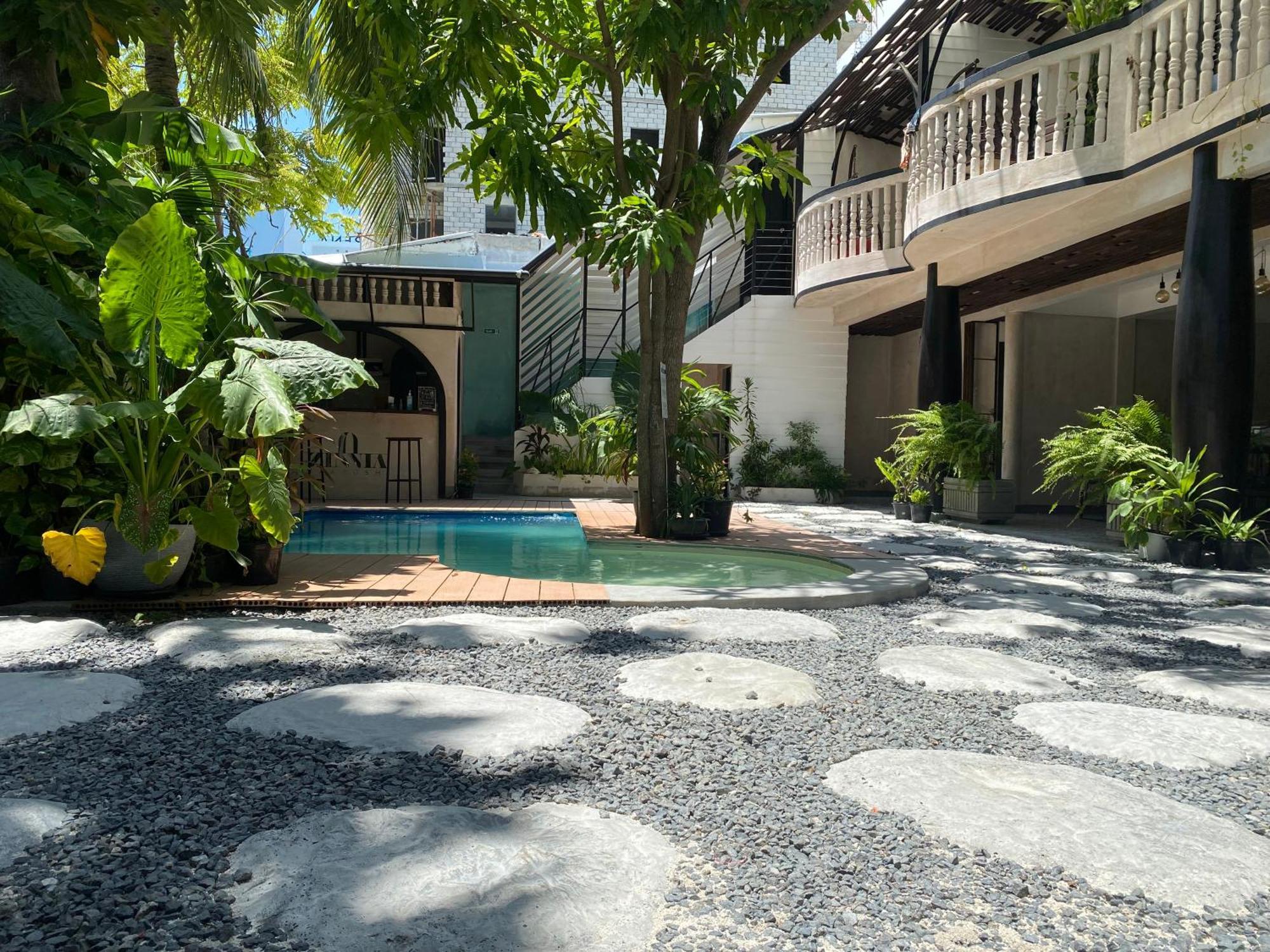 Zinnia Maafushi - Inclusive Airport Roundtrip - Snorkeling - Picnic - Sandbank For 2 Adults With Min 4-Nights Stay - Applicable For Bookings Made From 1St June 2025 Stay Period Till 31St Oct 2025 Luaran gambar